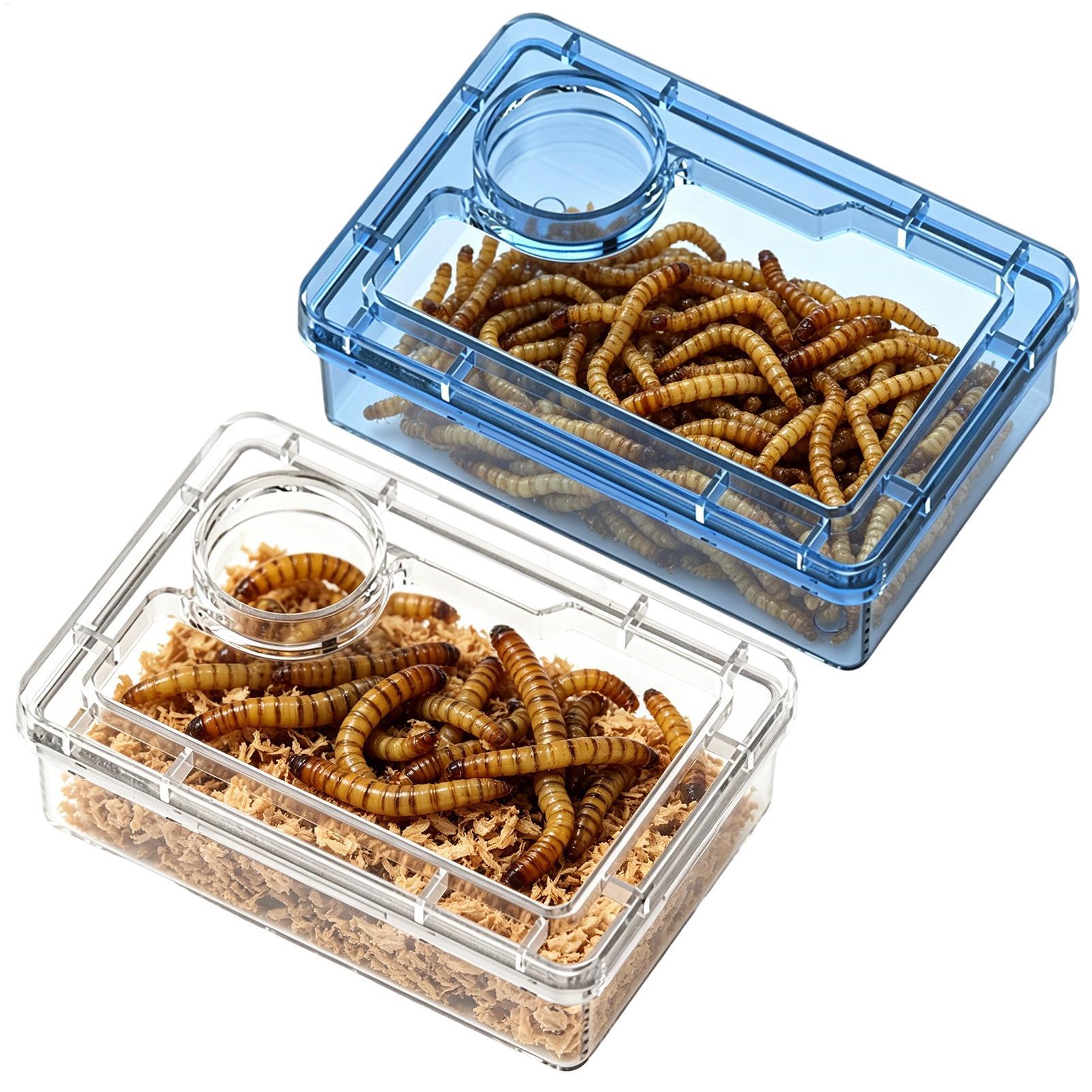 Calcium Powder Reptile - Plato de Alimentación a Prueba de