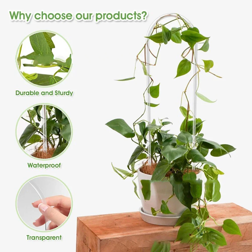 Vine Climbing Plastic - Soporte de acrílico en forma de