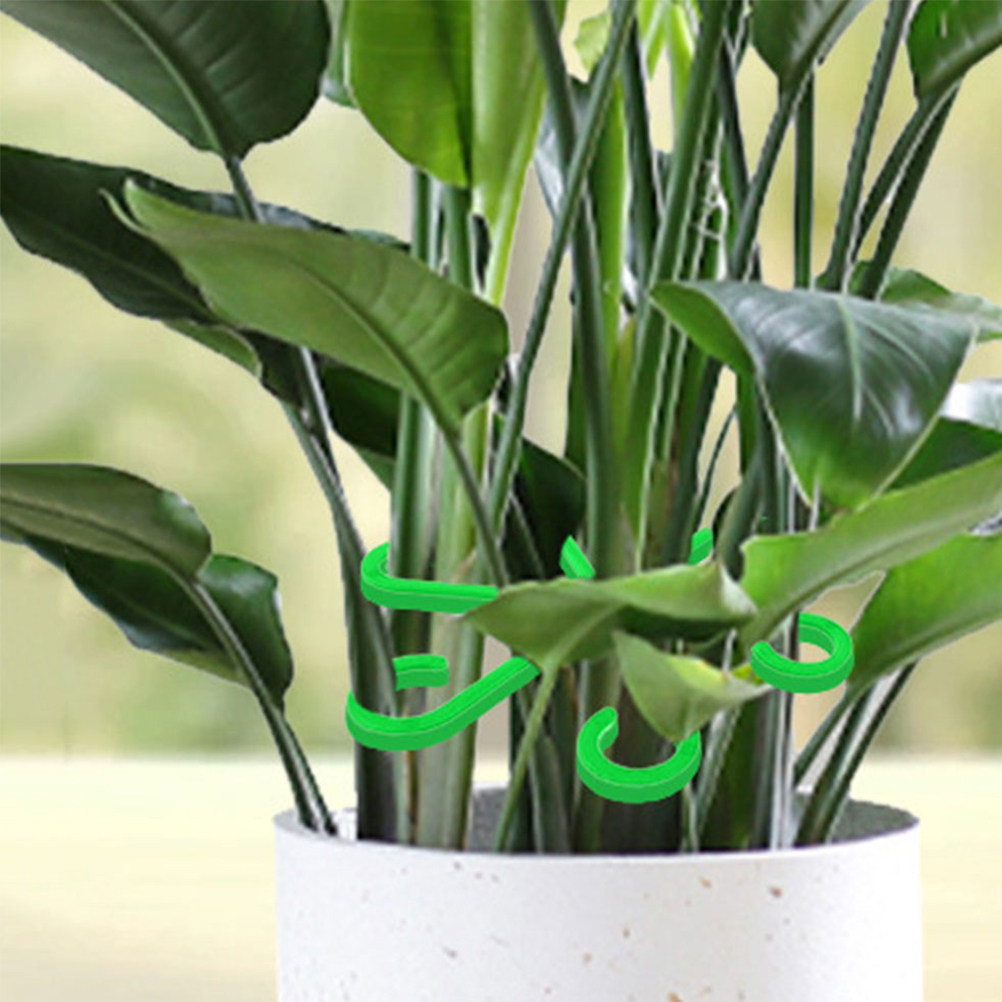 Vine Climbing Plastic - 12 Clips de Plástico para Sujetar