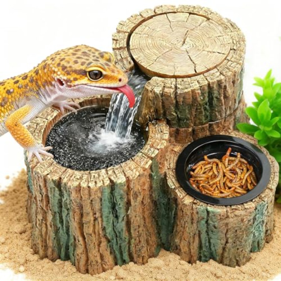 Water Dish Reptile - Bebedero para Reptiles 2 en 1
