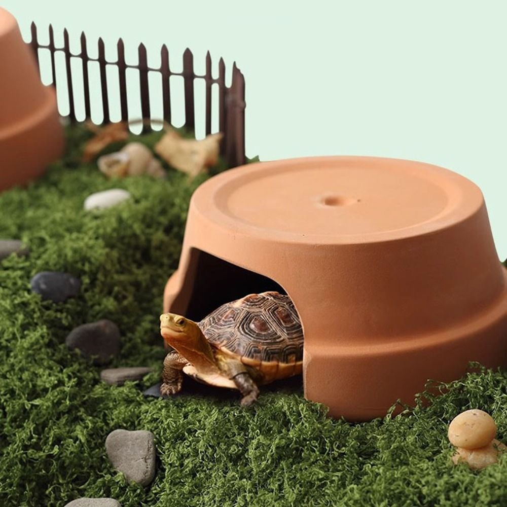 Caja de Cerámica Multifunciona - Hide Cave Ceramic reseña y precio