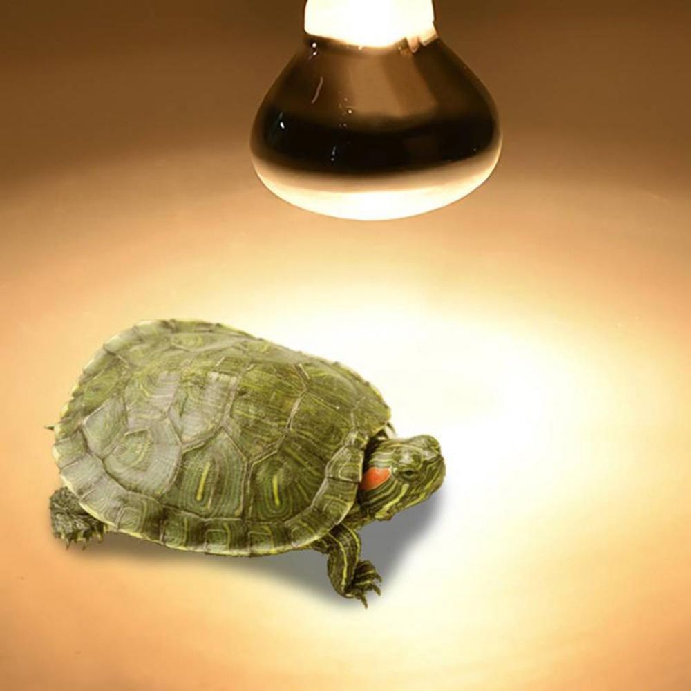 Lámpara de Calor para Lagartos - Basking Bulb Halogen reseña y precio