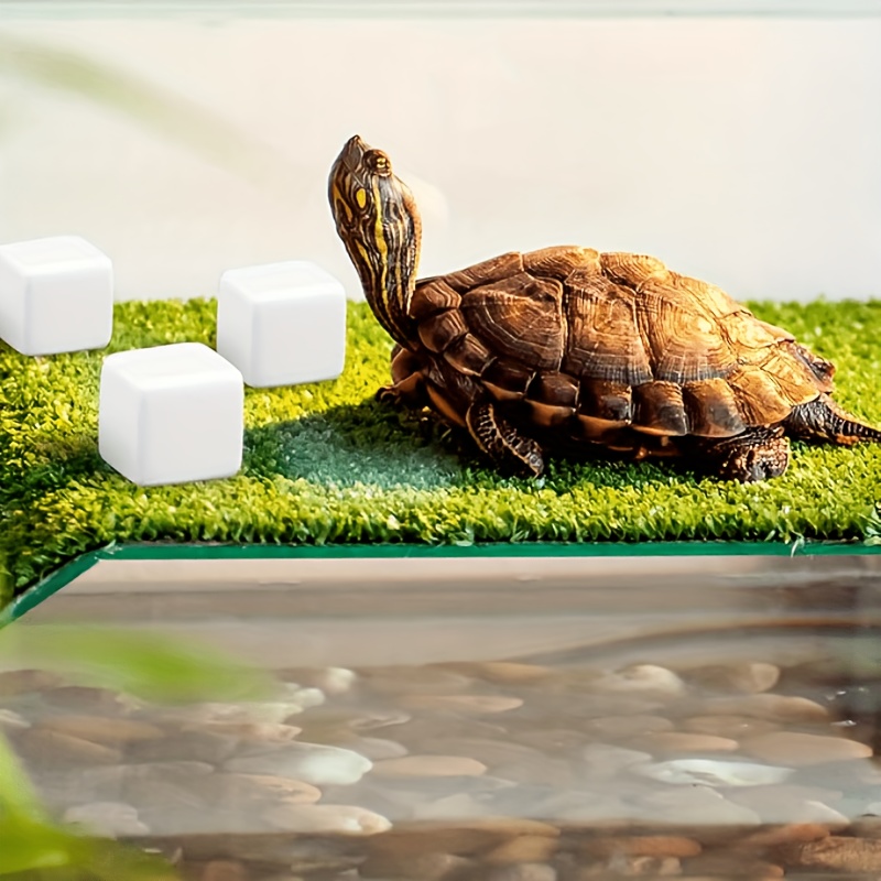 6 piezas de bloques de calcio  - Calcium Powder Reptile reseña y precio