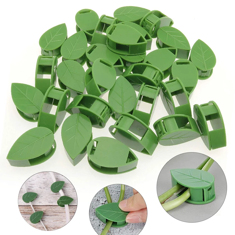 Dispositivo de escalada de par - Vine Climbing Plastic reseña y precio