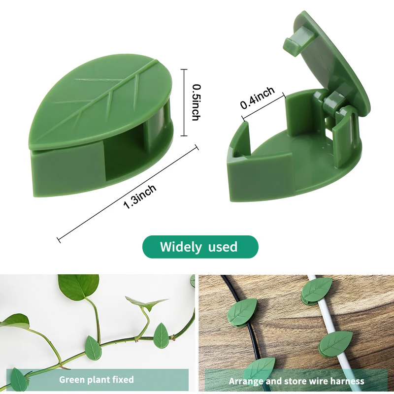 Dispositivo de escalada de par - Vine Climbing Plastic reseña y precio