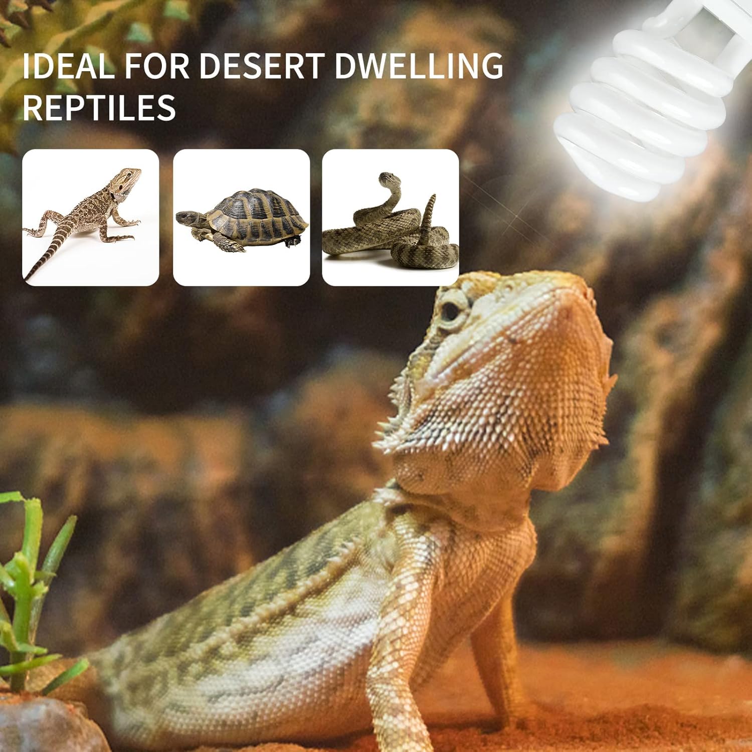 Lámpara de calefacción para re - Calcium Powder Reptile reseña y precio
