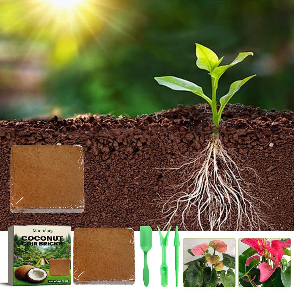 Suelo de coco para reptiles, s - Substrate Coconut Fiber reseña y precio