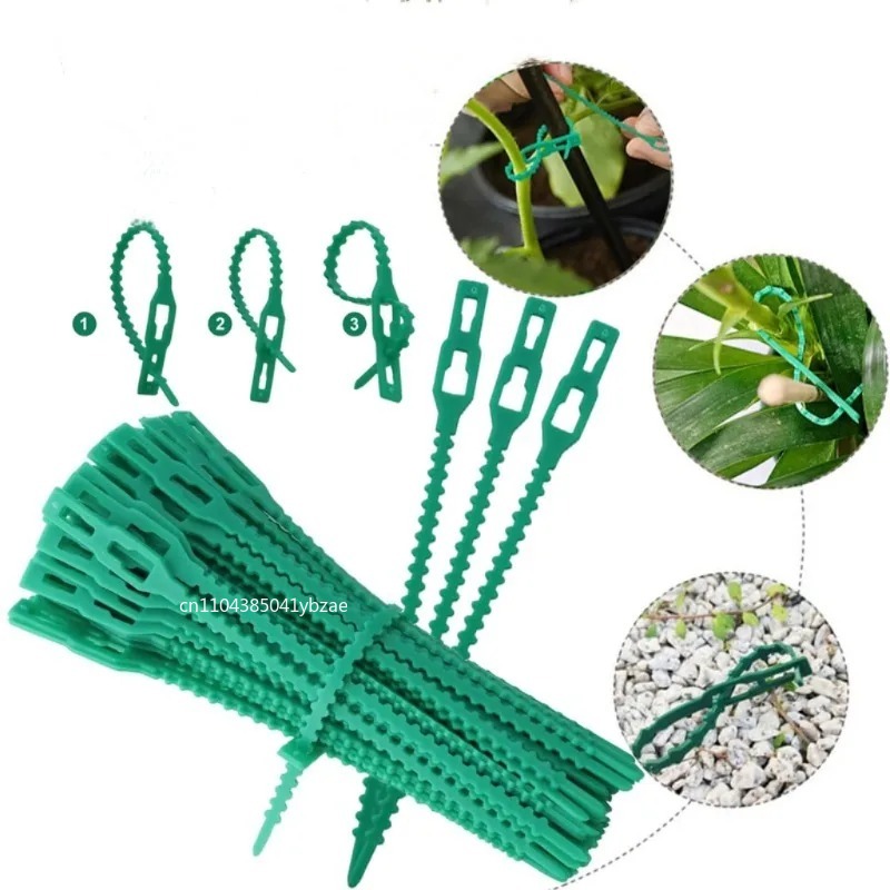 50-1000 Uds bridas de plástico - Vine Climbing Plastic reseña y precio