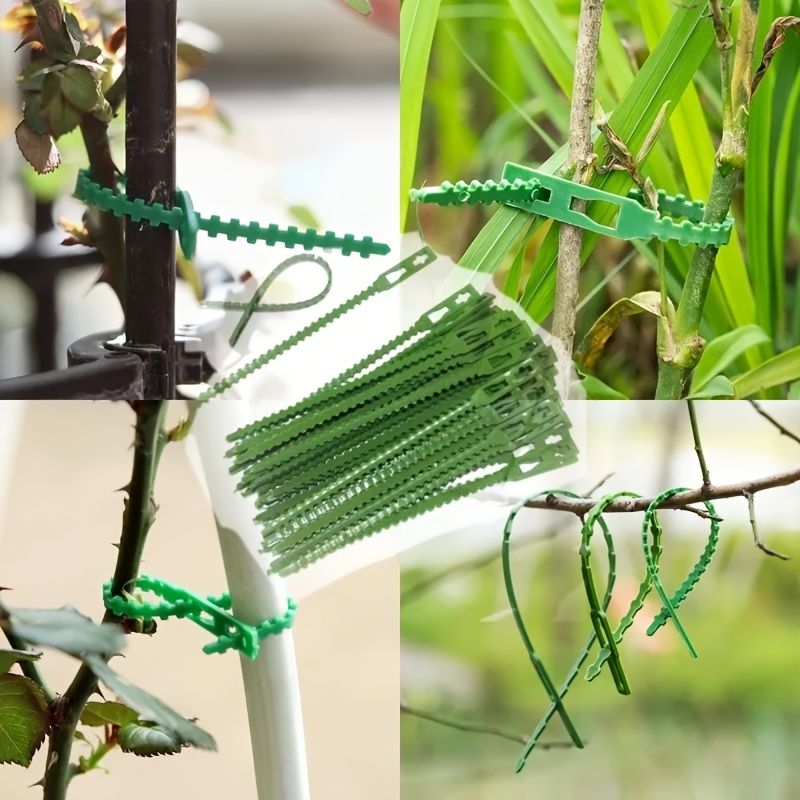 100 Lazos Ajustables Reutiliza - Vine Climbing Plastic reseña y precio