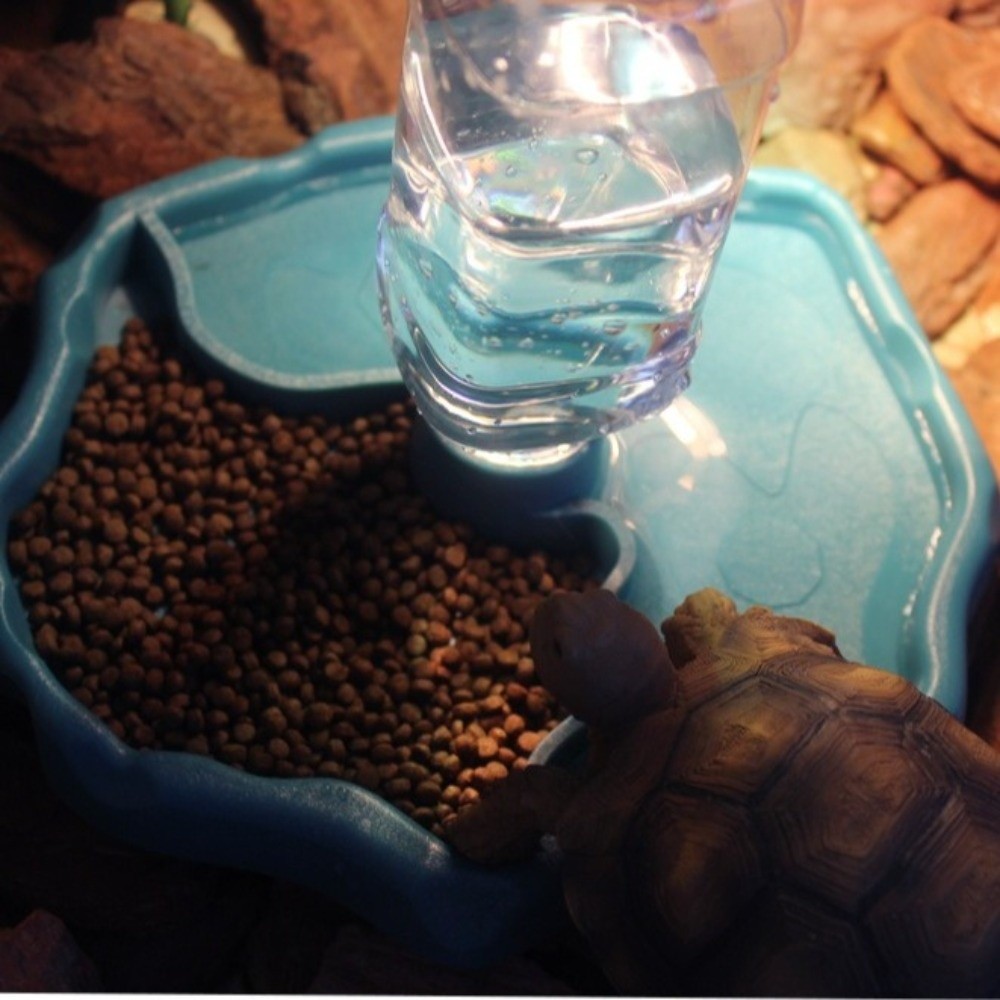 Nuevo Comedero Extraíble para  - Water Dish Reptile reseña y precio
