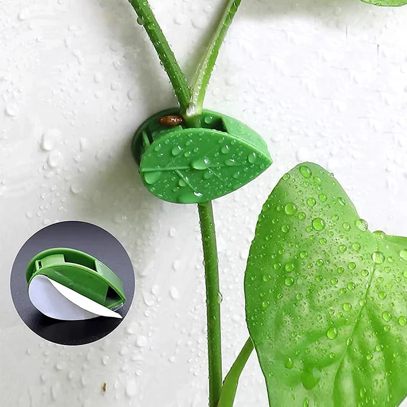 10-90 Piezas de Clips Autoadhe - Vine Climbing Plastic reseña y precio