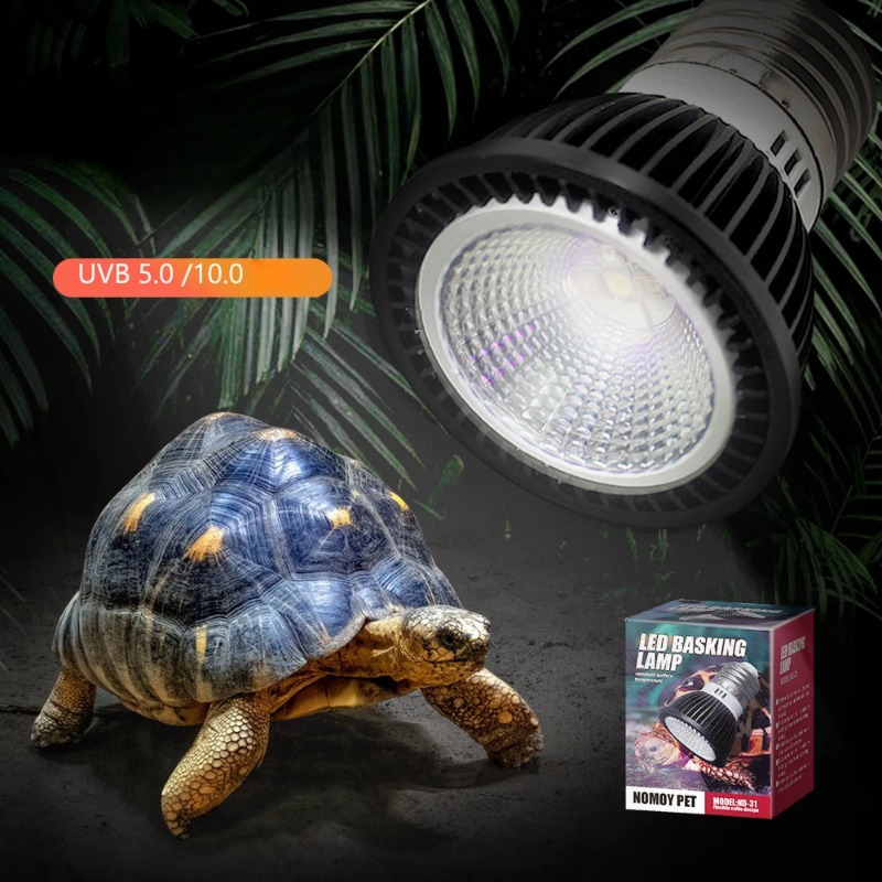 NOMOY Reptil 110/220V UVB + UV - Calcium Powder Reptile reseña y precio