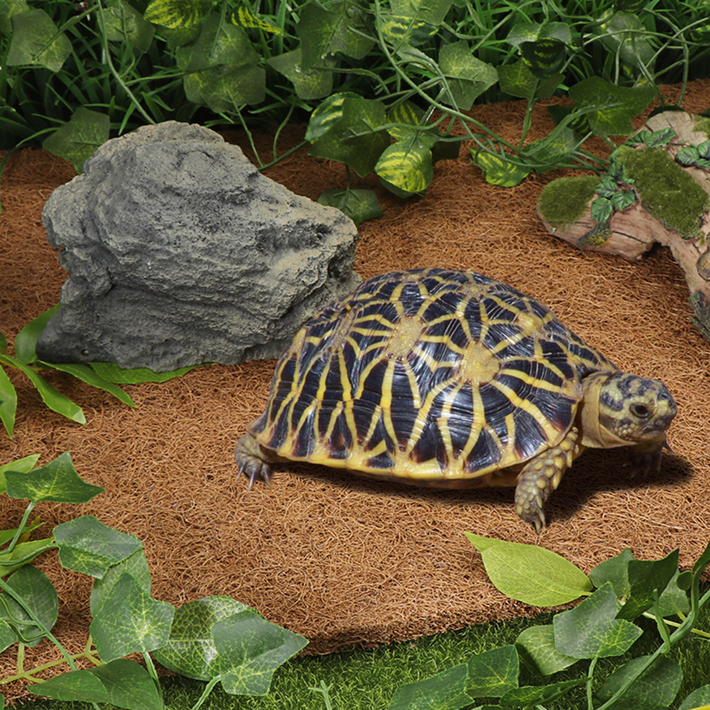 Sustrato de Coco para Reptiles - Substrate Coconut Fiber reseña y precio