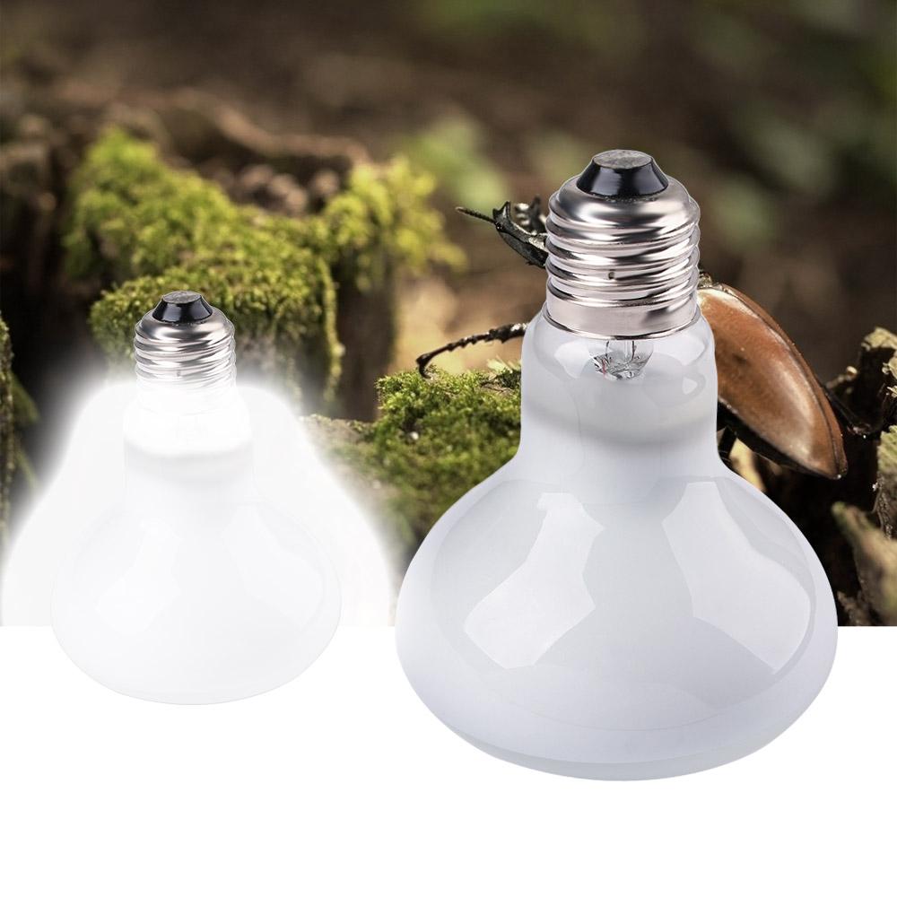 Lámpara de Calor para Tortugas - Basking Bulb Halogen reseña y precio