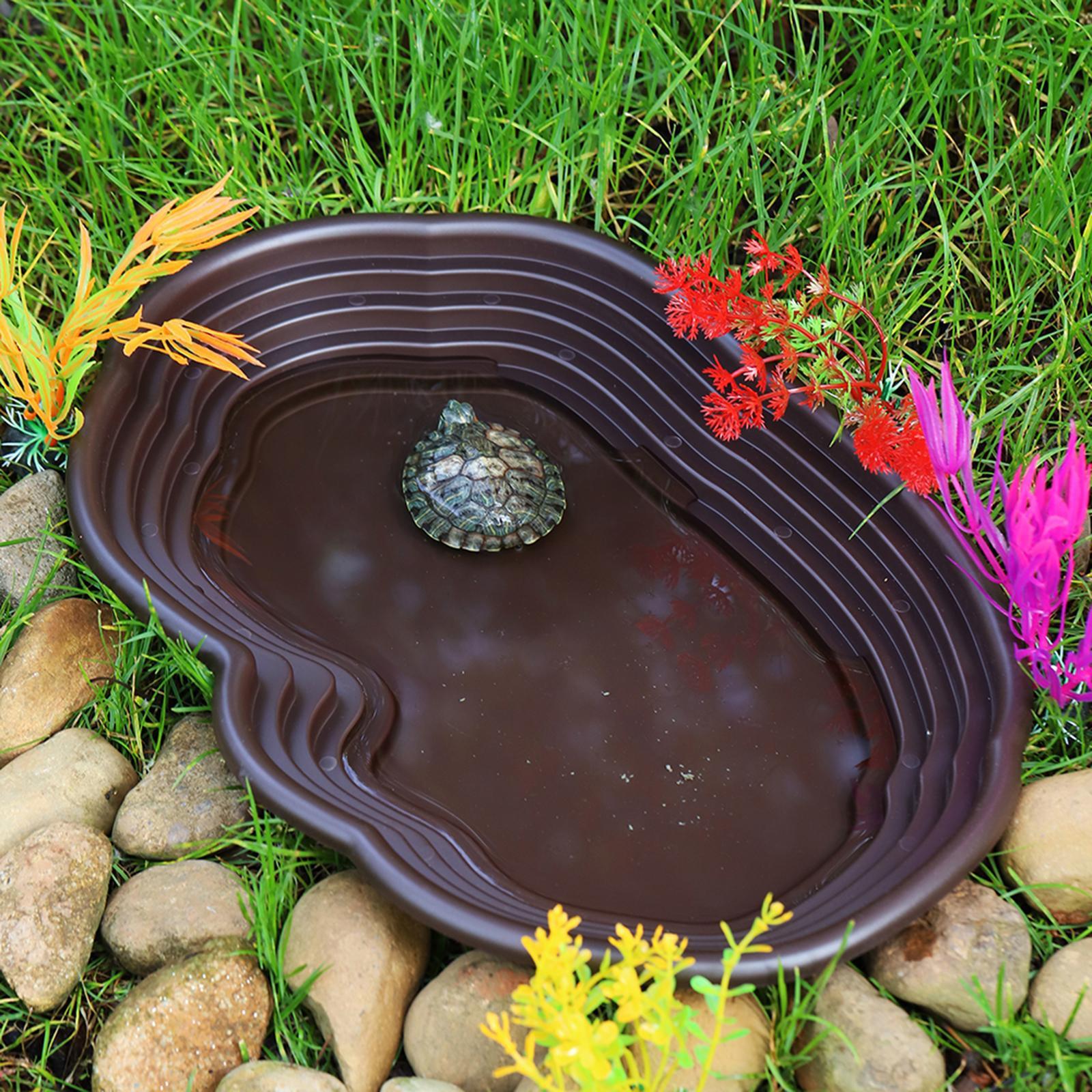 Plato de baño para reptiles, a - Water Dish Reptile reseña y precio