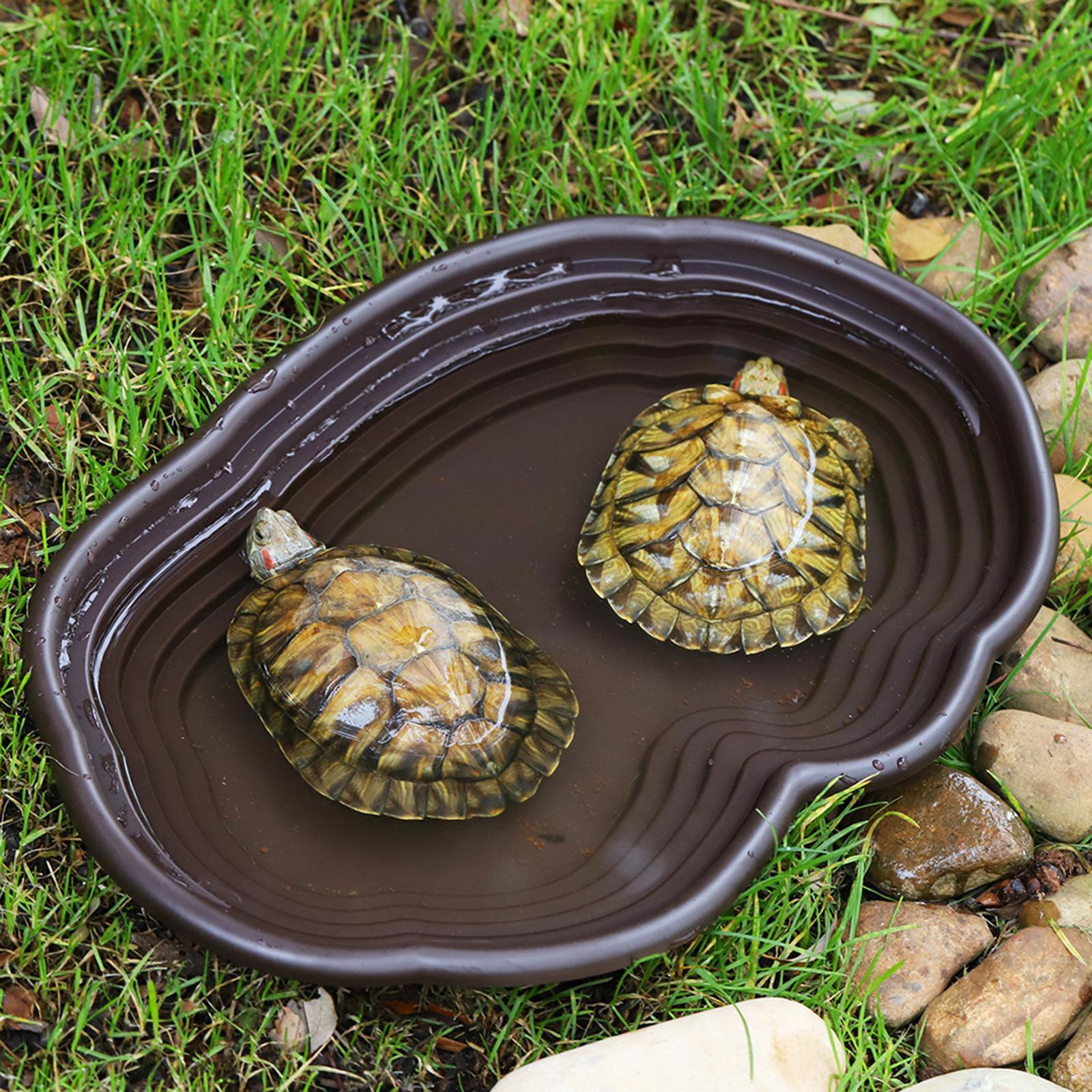 Plato de baño para reptiles, a - Water Dish Reptile reseña y precio