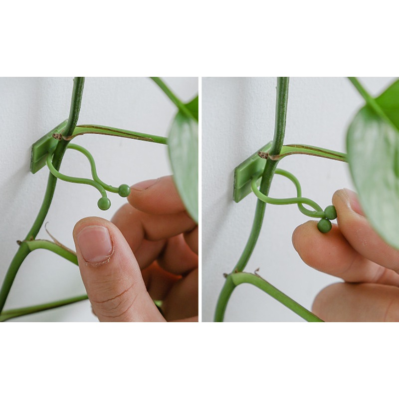 10 Ganchos Universales para Fi - Vine Climbing Plastic reseña y precio