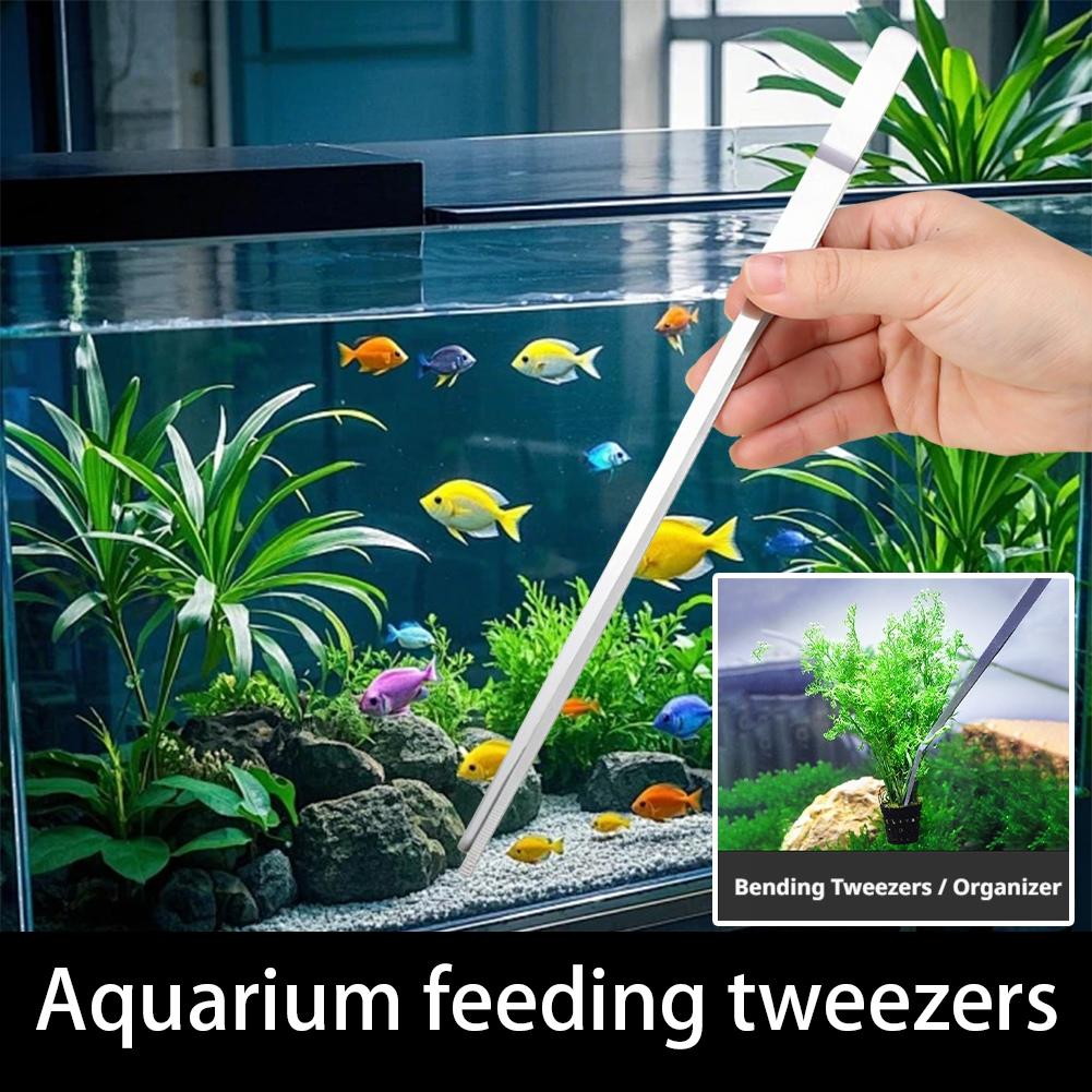 Pinzas de Acero Inoxidable par - Feeding Tong Stainless reseña y precio