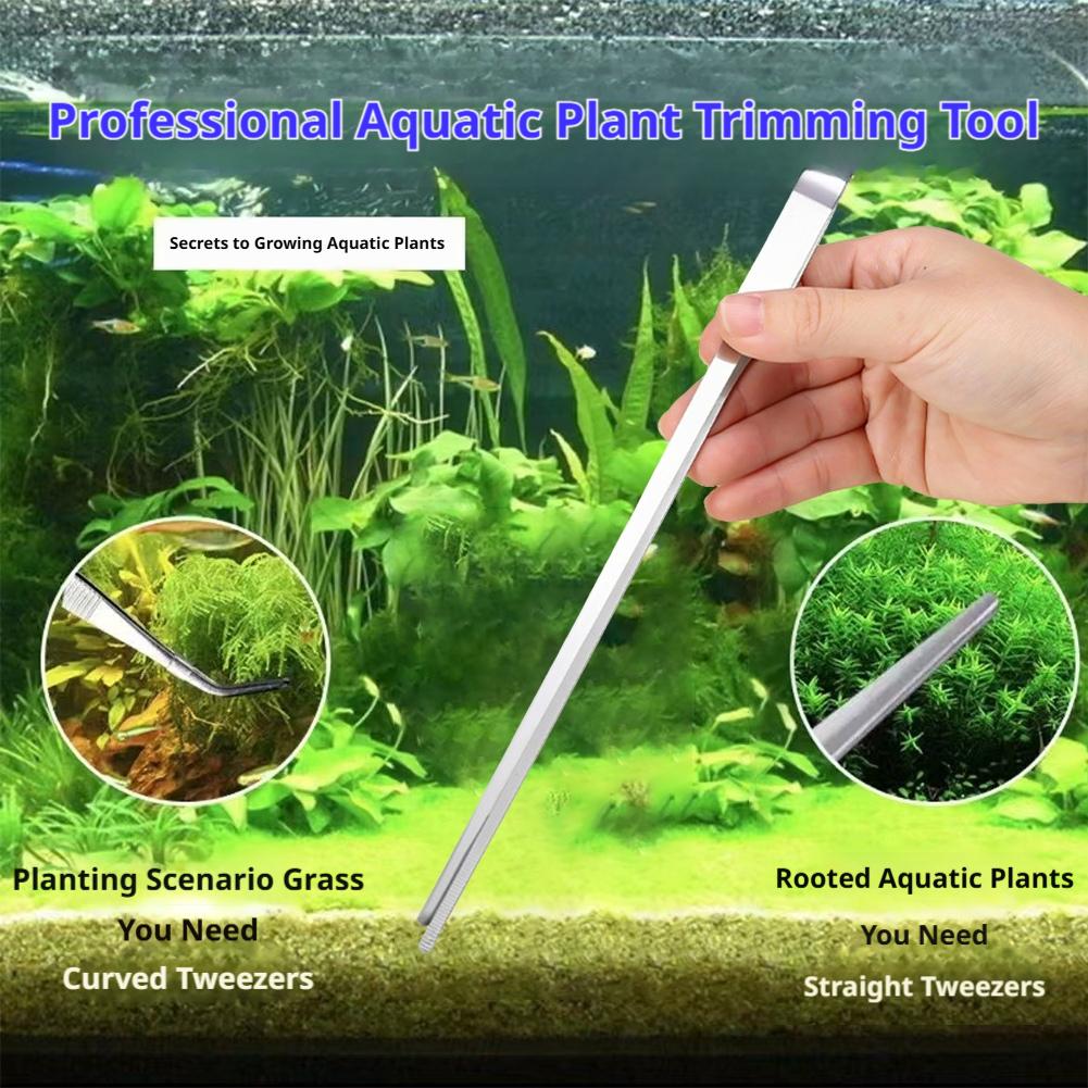 Pinzas de Acero Inoxidable par - Feeding Tong Stainless reseña y precio