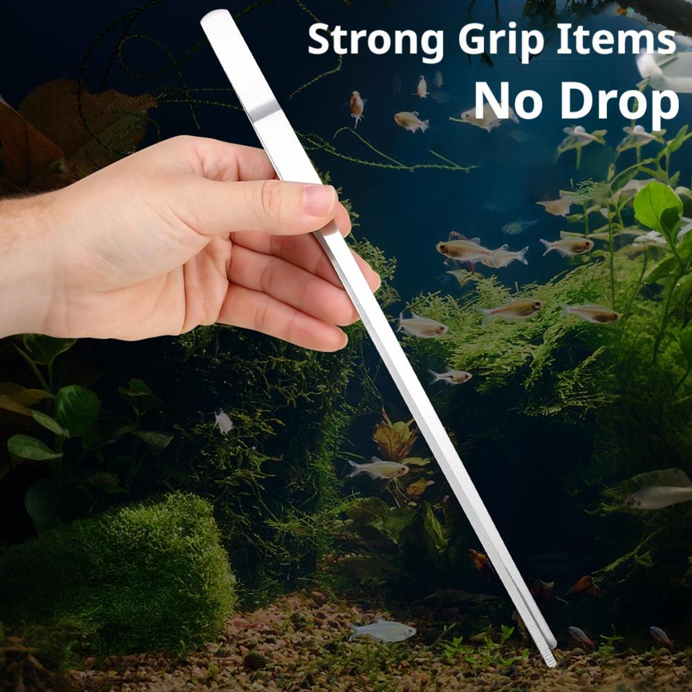 Pinzas de Acero Inoxidable par - Feeding Tong Stainless reseña y precio