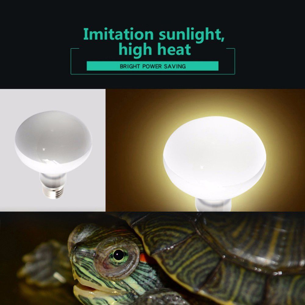 Controlador de Temperatura par - Basking Bulb Halogen reseña y precio