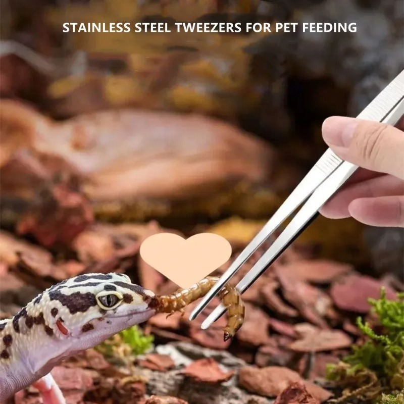 Pinzas de acero inoxidable mul - Feeding Tong Stainless reseña y precio