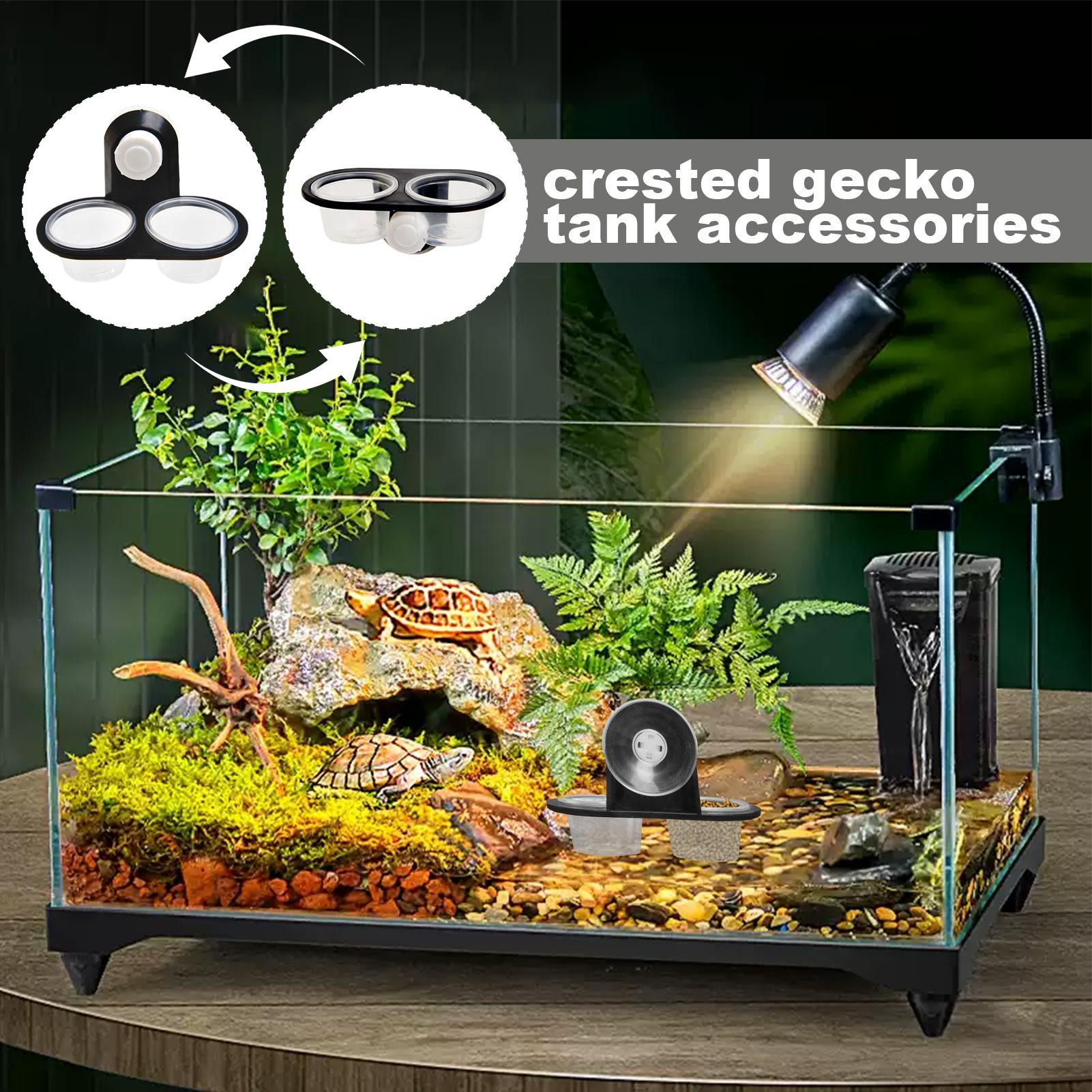 Plataforma de alimentación par - Water Dish Reptile reseña y precio