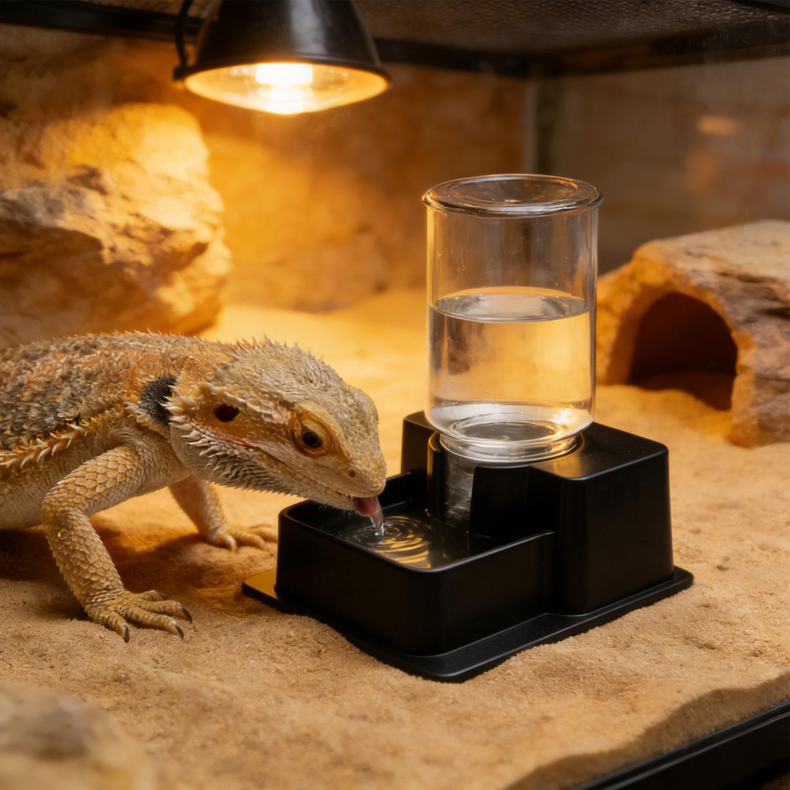 Bebedero Automático para Repti - Water Dish Reptile reseña y precio