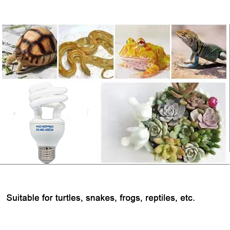 Lámpara Uvb para reptiles E27  - Calcium Powder Reptile reseña y precio