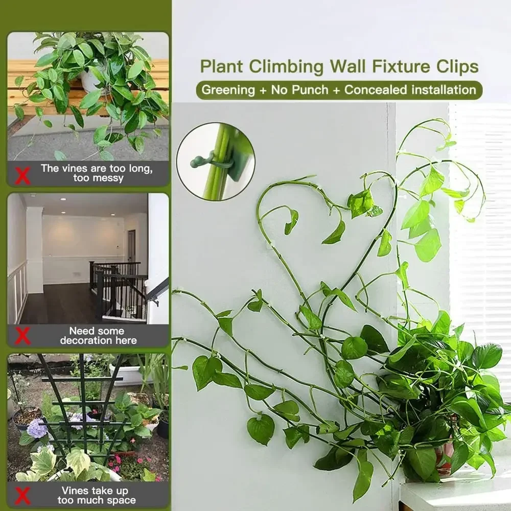 Accesorios para jardín, maceta - Vine Climbing Plastic reseña y precio