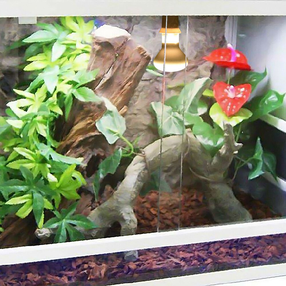 Controlador de Temperatura par - Basking Bulb Halogen reseña y precio