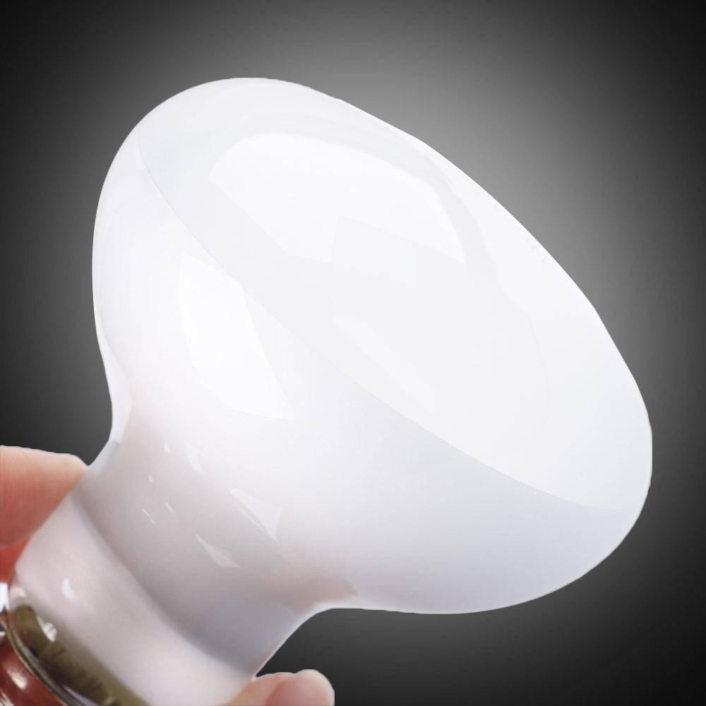 Lámpara de Calor para Anfibios - Basking Bulb Halogen reseña y precio