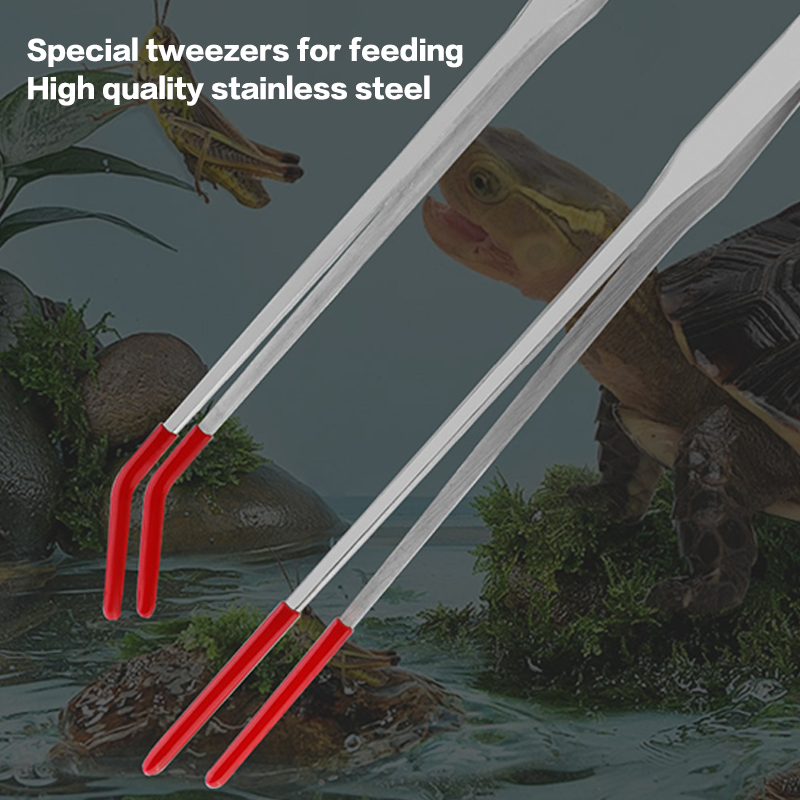 Accesorios para cajas de serpi - Feeding Tong Stainless reseña y precio