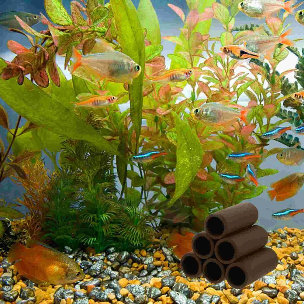 Jugar cría Spawning acuario cu - Hide Cave Ceramic reseña y precio
