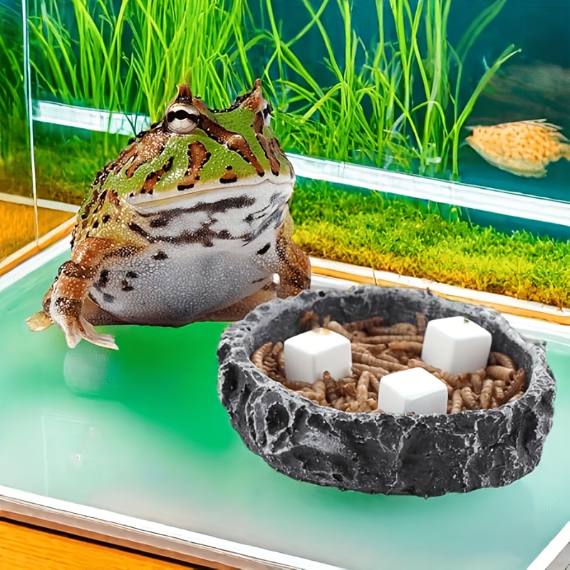 Bloques de calcio para pecera, - Calcium Powder Reptile reseña y precio