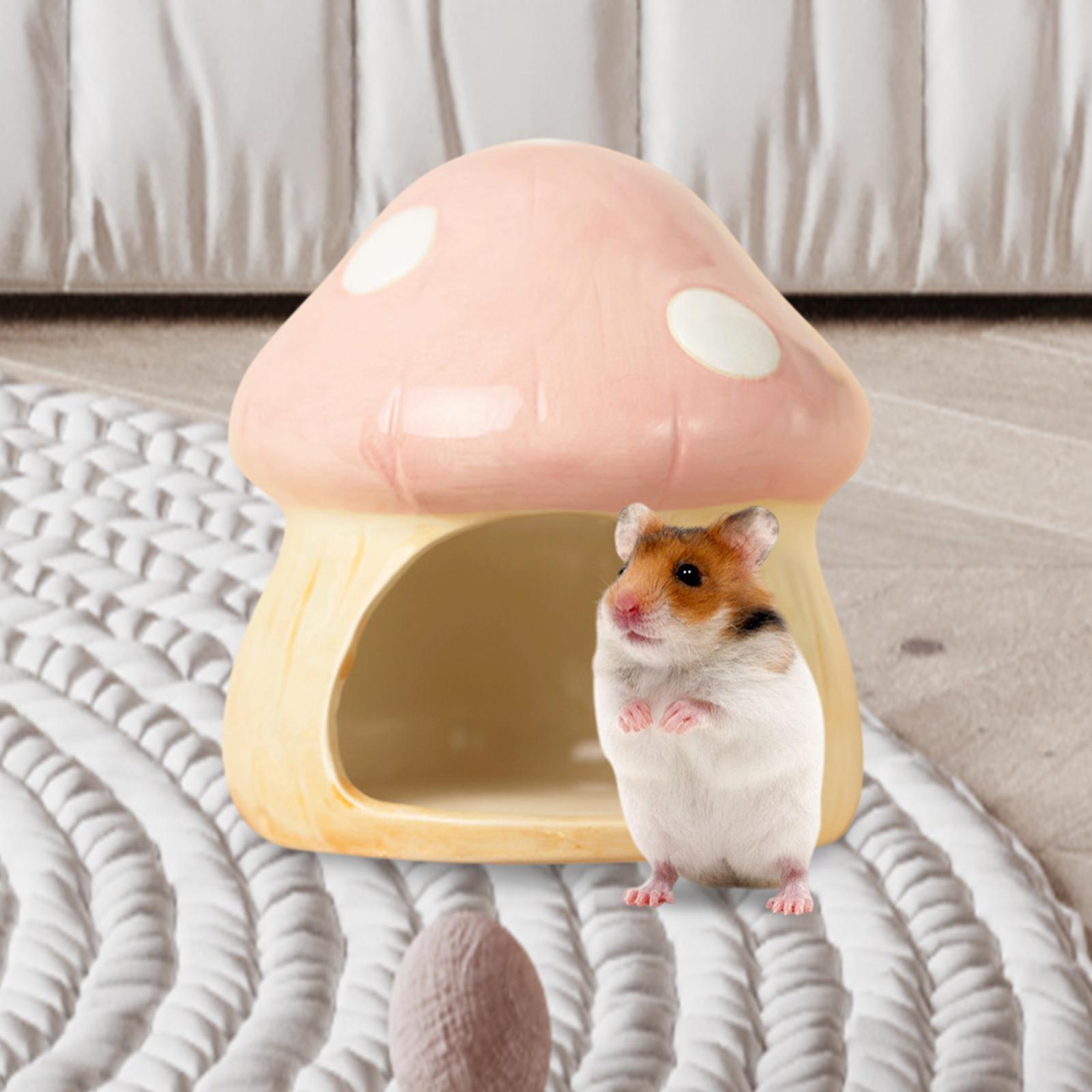 Casa de conejillo de indias de - Hide Cave Ceramic reseña y precio