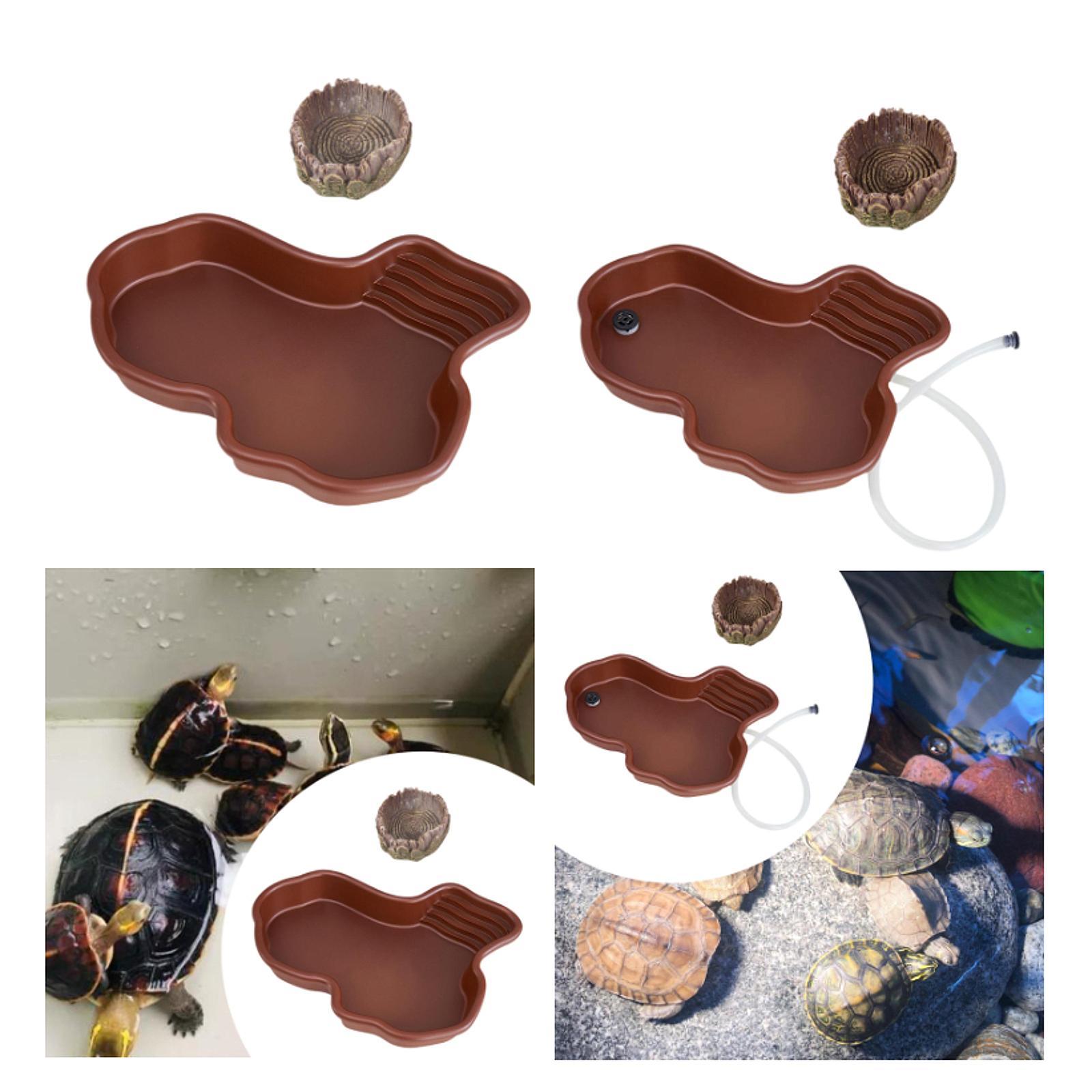 Plato de alimentación para rep - Water Dish Reptile reseña y precio