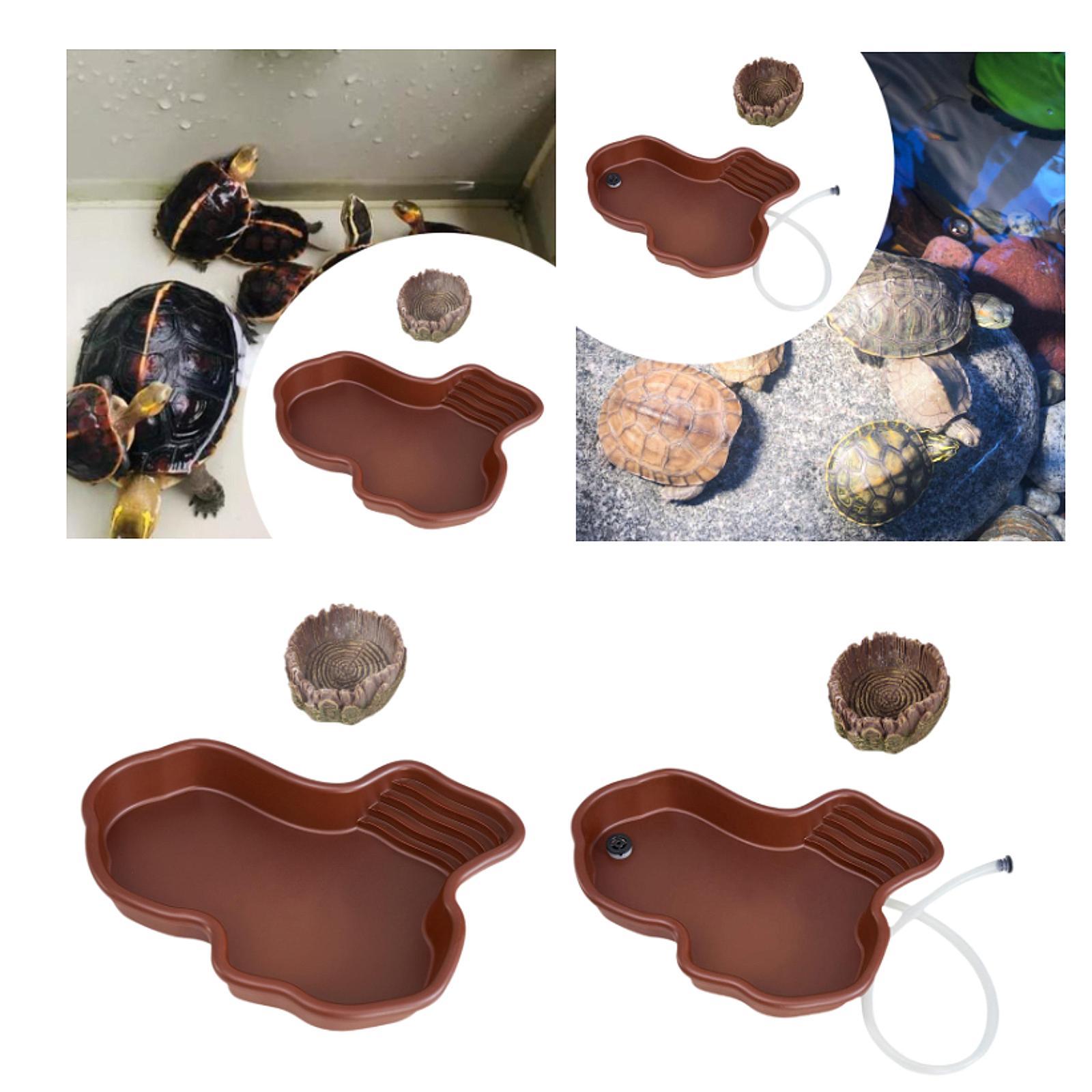 Plato de alimentación para rep - Water Dish Reptile reseña y precio